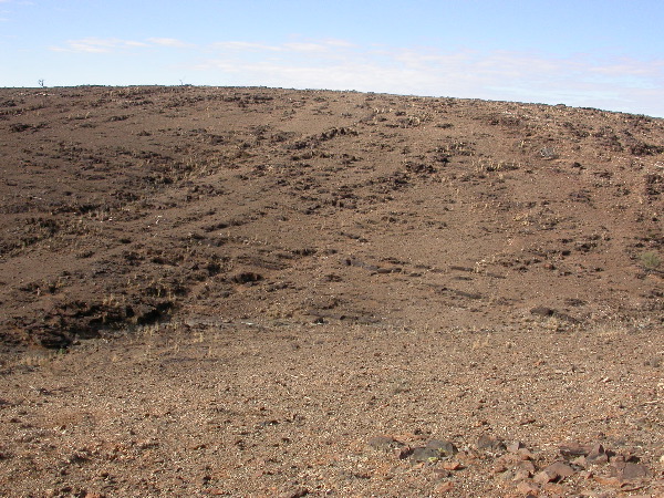 DSCN1055.JPG