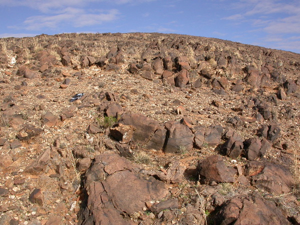 DSCN1056.JPG