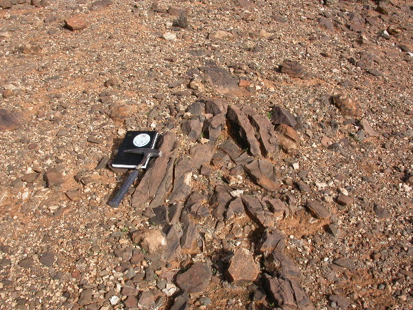 DSCN1057.JPG