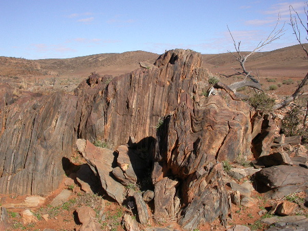 DSCN1080.JPG