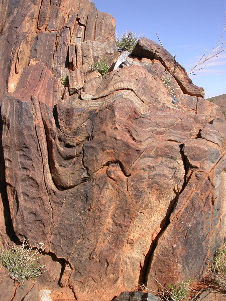 DSCN1081.JPG