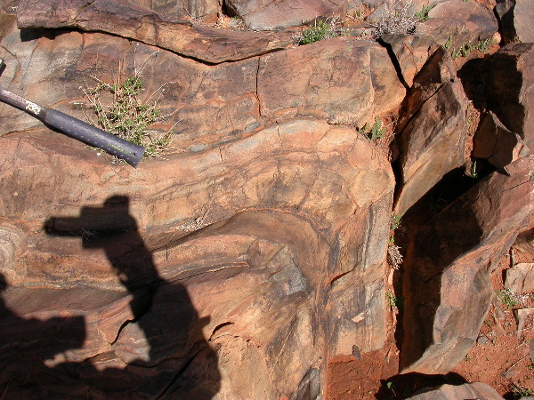DSCN1082.JPG