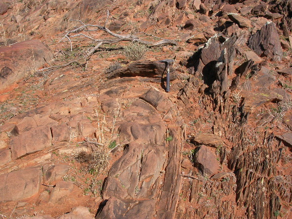 DSCN1083.JPG