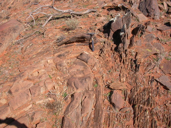 DSCN1084.JPG