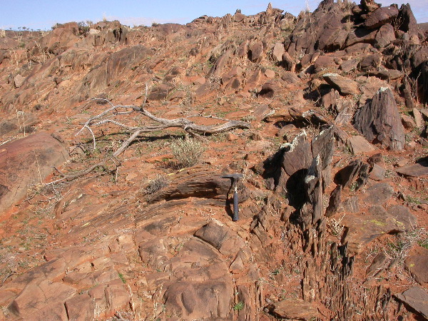 DSCN1085.JPG