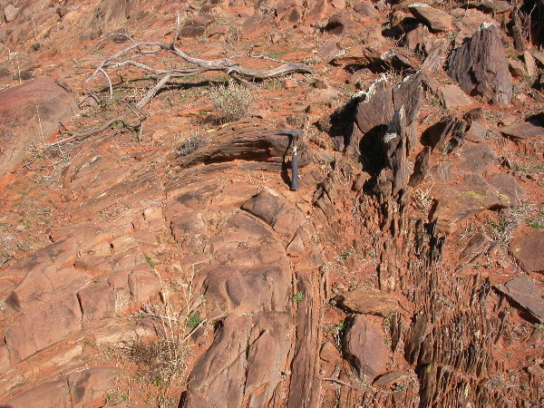 DSCN1086.JPG