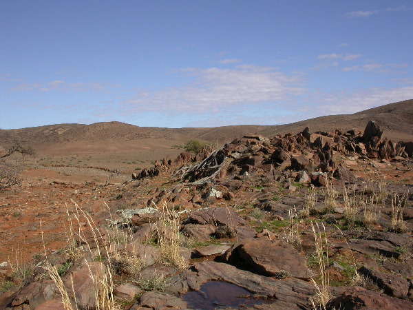 DSCN1088.JPG