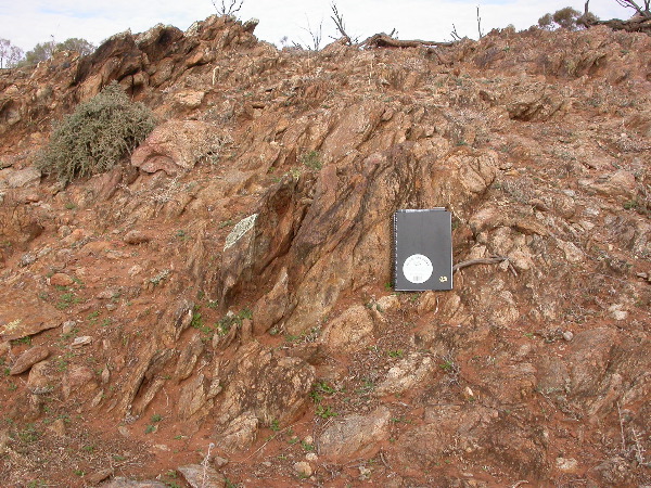 DSCN1109.JPG