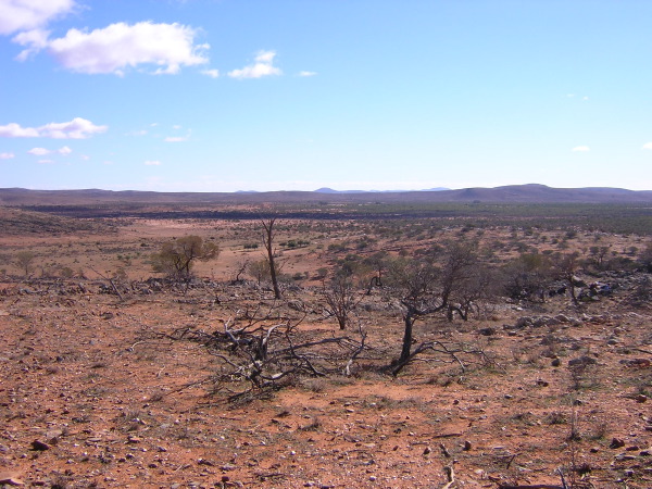 DSCN0149.JPG
