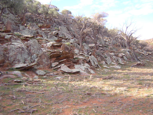 DSCN0173.JPG