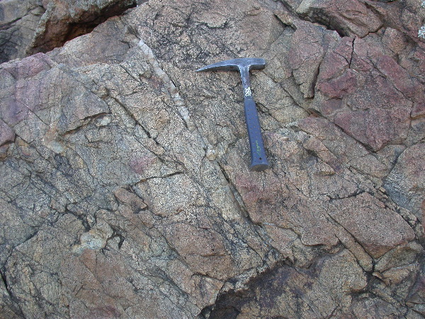 DSCN1118.JPG