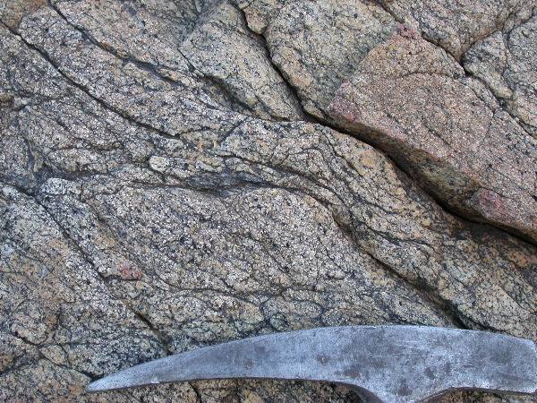 DSCN1122.JPG