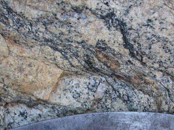 DSCN1123.JPG