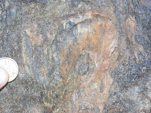 DSCN1127.JPG