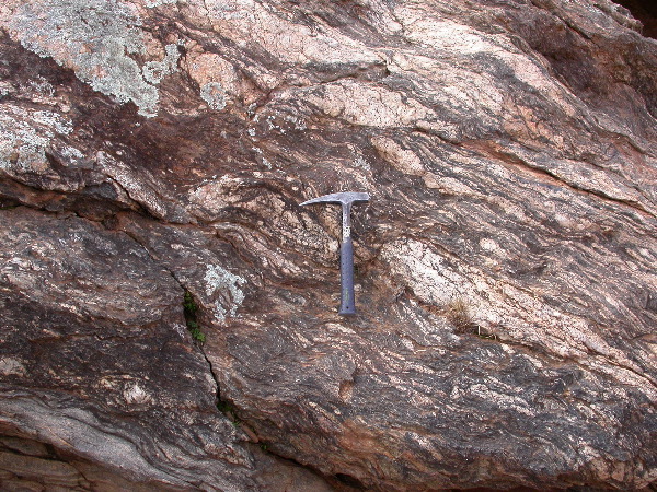 DSCN1130.JPG