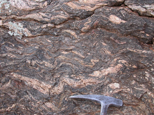 DSCN1133.JPG