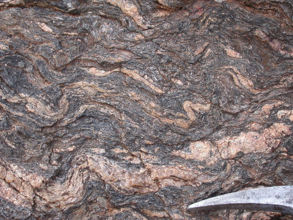 DSCN1134.JPG