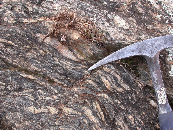 DSCN1136.JPG
