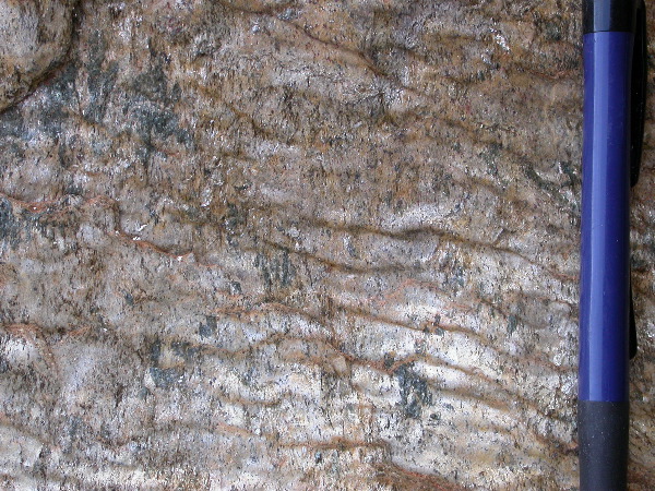 DSCN1138.JPG