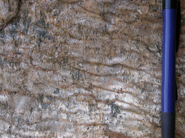 DSCN1139.JPG