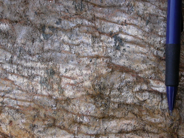 DSCN1140.JPG