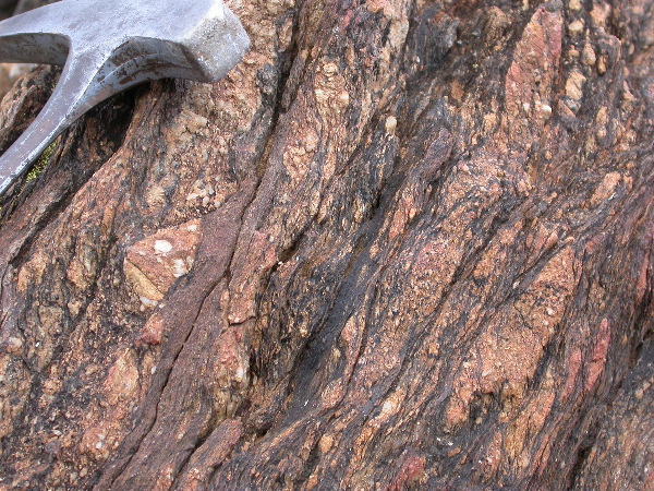 DSCN1142.JPG