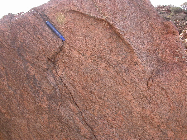 DSCN1143.JPG