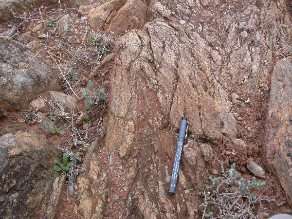 DSCN1166.JPG