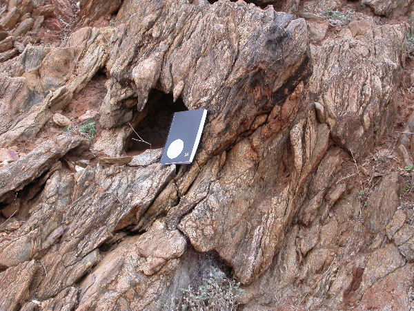 DSCN1167.JPG