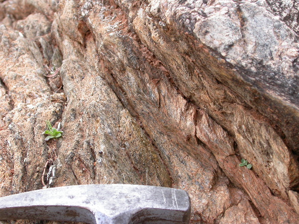 DSCN1175.JPG