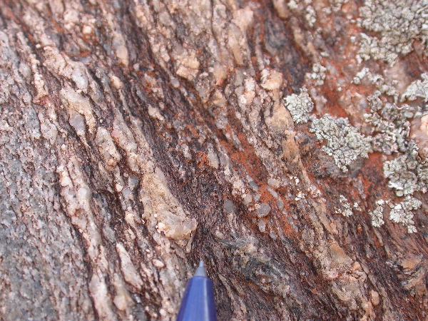DSCN1183.JPG