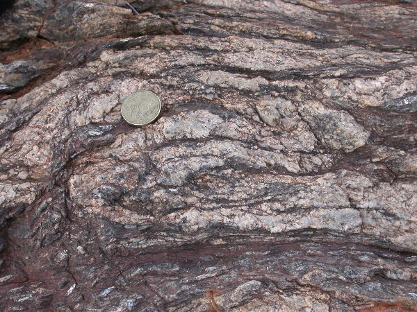 DSCN1184.JPG