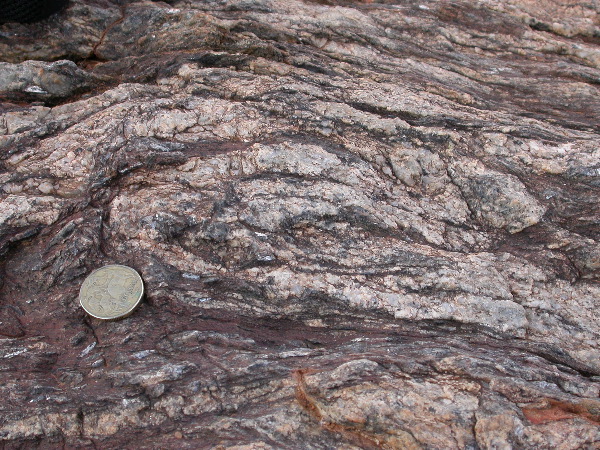 DSCN1185.JPG