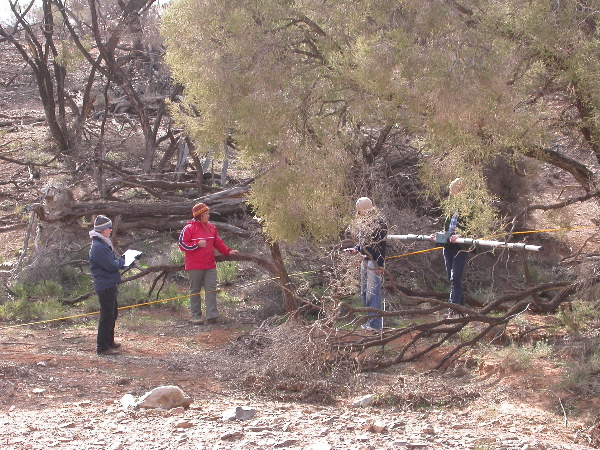 DSCN1194.JPG