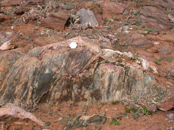 DSCN1197.JPG