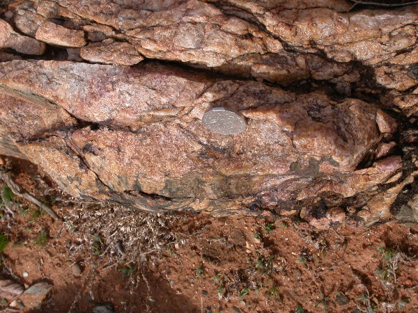 DSCN1198.JPG