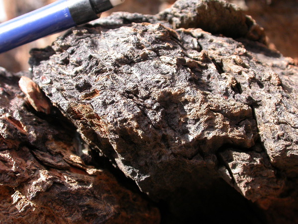 DSCN1206.JPG