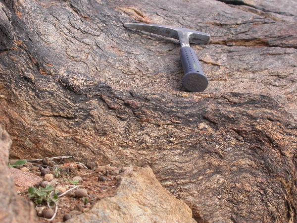 DSCN1208.JPG