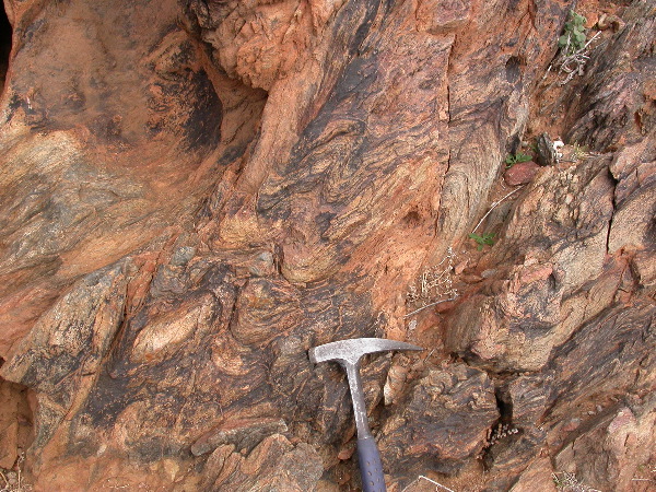 DSCN1212.JPG