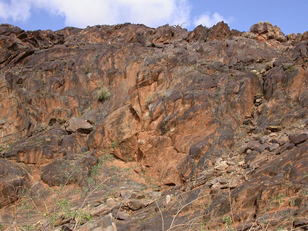 DSCN1214.JPG