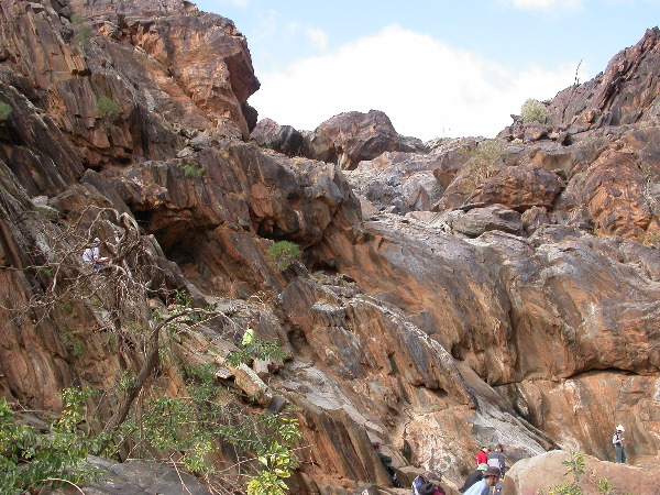 DSCN1217.JPG