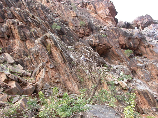 DSCN1218.JPG