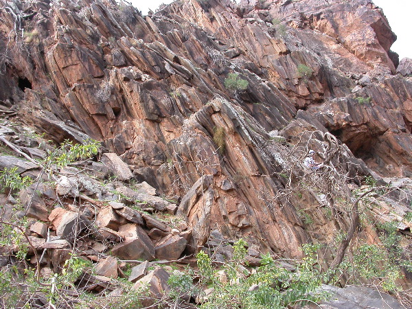 DSCN1219.JPG