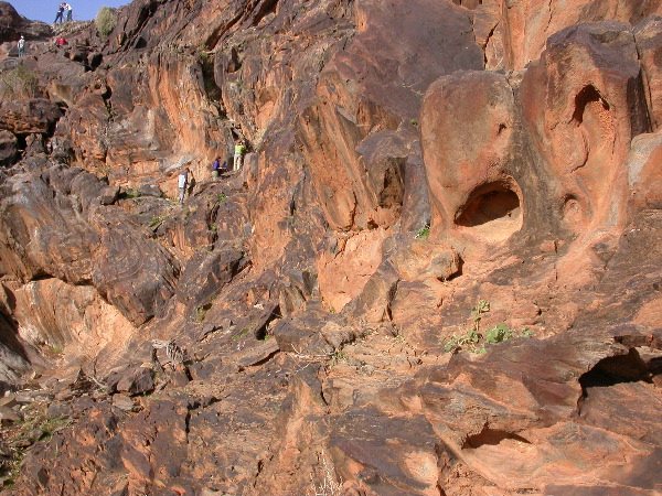 DSCN1231.JPG