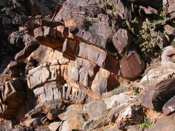 DSCN1239.JPG