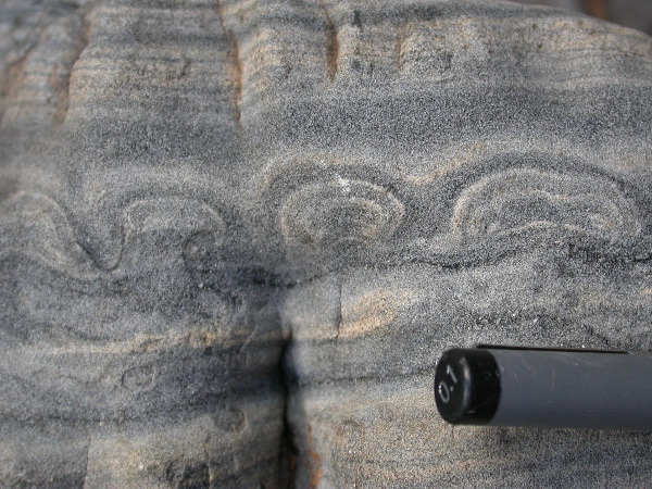 DSCN1243.JPG