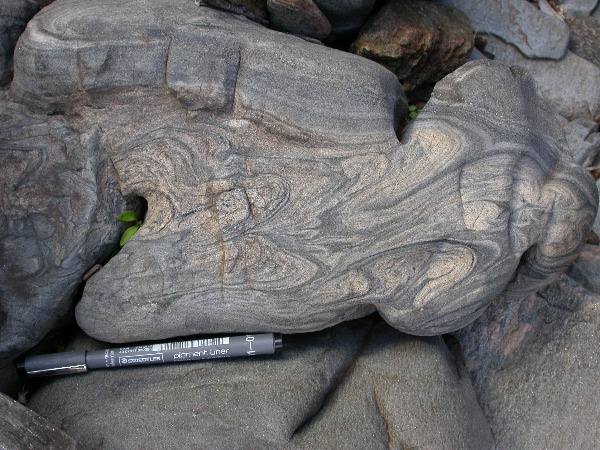DSCN1244.JPG