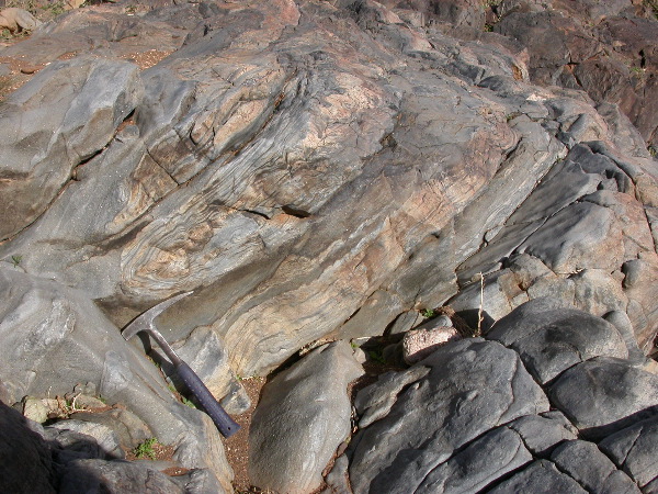 DSCN1249.JPG