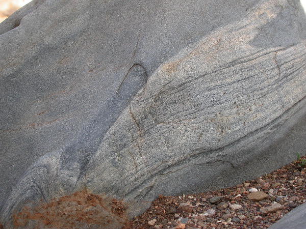 DSCN1252.JPG