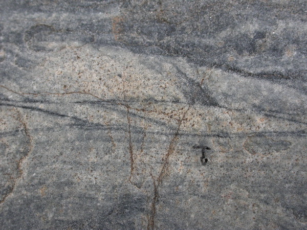 DSCN1261.JPG
